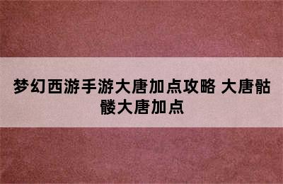 梦幻西游手游大唐加点攻略 大唐骷髅大唐加点